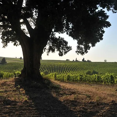 Fattoria Lornano Winery Monteriggioni